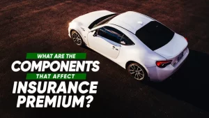 What are the components that affect my insurance premium?