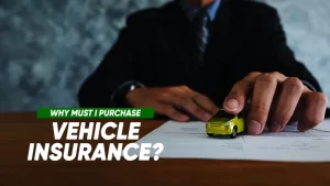 Why must I purchase vehicle insurance?